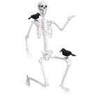 Figura Wocst Esqueleto Posable de 185 cm con 2 Corvos Negros