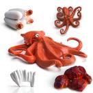 Figuras de animais Fantarea Realistic Sea Marine 4 peças para crianças de 5 a 8 anos Figuras de animais Fantarea Realistic Sea Marine 4 peças para crianças de 5 a 8 anos