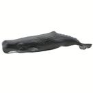 Figurine Safari Ltd. Cachalote 23 cm Lifelike Ocean Toy 1+ Figurine Safari Ltd. Cachalote 23 cm Lifelike Ocean Toy 1+