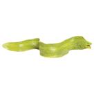 Figurine Safari Ltd. Moray Eel 23 cm em plástico modelo 18M+
