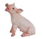 Figurine Safari Ltd Safari Farm Sitting Piglet Kids 3 anos ou mais