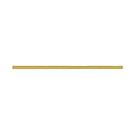 Filete Meio da Grade Dourado - Para Daf XF