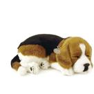 Filhote Pelúcia Cachorro Beagle Respira Perfect Petzz