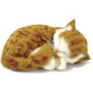 Filhote Pelúcia Gatinho Respira Orange Tabby Perfect Petzz