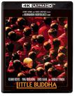 Filme O Pequeno Buda 4K UHD