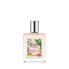Filosofia do perfume: incrível graça, bergamota, luxo e beleza