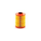 Filtro De Ar MANN-FILTER Ranger - C18263