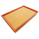Filtro de Ar Polo/Fox/Golf 1,6 8v - FABR29S ARL6095 036129620D