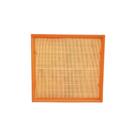Filtro de Ar X6 2009 a 2019 Wega FAP-4819 Filtro de Ar X6 2009 a 2019 Wega FAP-4819