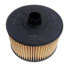 Filtro de Óleo do Motor Renault Kardian Duster Captur Oroch 2021 em diante