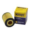 Filtro de Óleo Hengst E820H D245 BMW 116i, 118i - Cód.9829