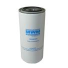 Filtro Diesel International 4400 Durastar Euro 5 7005404R1