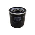 Filtro fram ph6017a