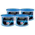 Filtro para Jacuzzi POOLPURE 29001E Tipo S1 PureSpa Paquete de 4 Filtro para Jacuzzi POOLPURE 29001E Tipo S1 PureSpa Paquete de 4