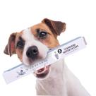 Filtros de reposição Torus Pet Standard (pacote com 6)