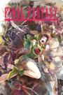 Final Fantasy Lost Stranger - Vol. 09