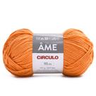 Fio Âme Círculo 100g
