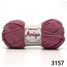 Fio Amiga Círculo 100g - Cores 2019