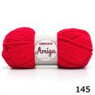 Fio Amiga Círculo 100g