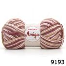 Fio Amiga Círculo Mesclado 100g