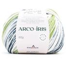 Fio Arco-Íris Pingouin 100g - Coleção Álbum de Memórias Fio Arco-Íris Pingouin 100g - Coleção Álbum de Memórias