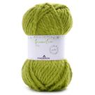 Fio Bromélia Pingouin 100g