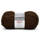 Fio Cancan Círculo 100g
