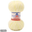Fio carinho pingouin 40gr 0223 docinho und