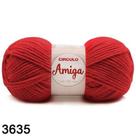 Fio circulo amiga -3635 vermelho paixao 100 gr und