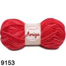 Fio circulo amiga -9153 mesc cabare 100 gr und
