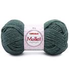 Fio Círculo Mollet 200m 100g Cor 5311 Fresca