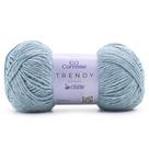 Fio Cisne Trendy 100g