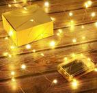 Fio De Fada Cordão De Led 5m 50 Led's Função Pilha