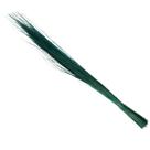 Fio de Seda Verde