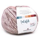 Fio Energia Pingouin 100g