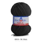 FIO FAMILIA 40 GR COR 0810 CHUMBO ÔNIX - 100% Acrílico