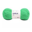 Fio Família 40g Cor 1662 Verde Pingouin - Ideal para Malhas e Tapeçaria