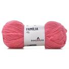 Fio Família 40g Tradicional Cor 2375 Light para Trabalhos Manuais