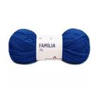 Fio Família Pingouin 40g Cor 0512 Azul Royal