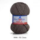 Fio Família Pingouin 40g Cor 0806 Cinza Médio