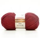 Fio Harmony Círculo 100g Fio Harmony Círculo 100g