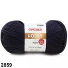 Fio hobby 160 metros 100 gramas cor 2859 marinho