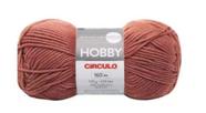Fio hobby 160 mts 100 gr cor 3537 pétula