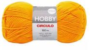 Fio Hobby Círculo 160 Metros 100 Gramas Cor 1768