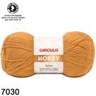 Fio Hobby Círculo 160 Metros 100 Gramas Cor 7030