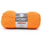 Fio Hobby Neon Círculo 100g