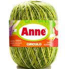 Fio linha anne 500 multicolor