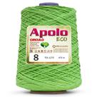 FIO LINHA BARBANTE APOLO ECO CIRCULO Nº 08 600G 457 M