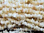 Fio Madre Perola Cascalho Furado a Laser Concha Natural 90cm Fio Madre Perola Cascalho Furado a Laser Concha Natural 90cm