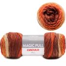 Fio Magic Pull Circulo 200g Cor 9550
